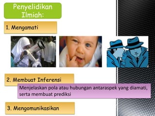 Penyelidikan 
Ilmiah: 
1. Mengamati 
2. Membuat Inferensi 
Menjelaskan pola atau hubungan antaraspek yang diamati, 
serta membuat prediksi 
3. Mengomunikasikan 
 
