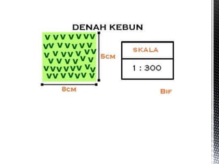 Kelas 7: Objek IPA dan Pengamatannya