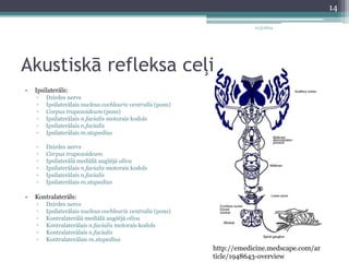 Akustiskā refleksa ceļi 
• Ipsilaterāls: 
▫ Dzirdes nervs 
▫ Ipsilaterālais nucleus cochlearis ventralis (pons) 
▫ Corpus trapezoideum (pons) 
▫ Ipsilaterālais n.facialis motorais kodols 
▫ Ipsilaterālais n.facialis 
▫ Ipsilaterālais m.stapedius 
▫ Dzirdes nervs 
▫ Corpus trapezoideum 
▫ Ipsilaterālā mediālā augšējā oliva 
▫ Ipsilaterālais n.facialis motorais kodols 
▫ Ipsilaterālais n.facialis 
▫ Ipsilaterālais m.stapedius 
• Kontralaterāls: 
▫ Dzirdes nervs 
▫ Ipsilaterālais nucleus cochlearis ventralis (pons) 
▫ Kontralaterālā mediālā augšējā oliva 
▫ Kontralaterālais n.facialis motorais kodols 
▫ Kontralaterālais n.facialis 
▫ Kontralaterālais m.stapedius 
11/3/2014 
http://emedicine.medscape.com/ar 
ticle/1948643-overview 
14 
 