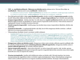 11/3/2014 
• VIII - n. vestibulocochlearis - līdzsvara un dzirdes nervs, jušanas nervs. Nervam divas daļas: n. 
vestibularis - līdzsvara nervs un n. cochlearis - dzirdes nervs. 
▫ N. vestibularis ir jušanas kodoli - nuclei vestibulares, kas atrodas area vestibularis, vairāk iegarenajās smadzenēs. 
▫ N. cochlearis ir jušanas kodoli - nuclei cochleares. Tie atrodas area vestibularis, vairāk tiltā. 
• Pons šķērsgriezumā izšķir 2 daļas: pars basilaris pontis, atrodas ventrāli un tegmentum pontis, atrodas 
dorsāli. Starp abām daļām atrodas baltās vielas saišķis - corpus trapezoideum, kas ir dzirdes ceļa sastāvdaļa. 
• Corpus trapezoideum - dzirdes ceļa daļa. To veido aksoni no nuclei cochleares (dzirdes ceļa otrie neironi). 
Šķiedras daļēji krustojas un pārslēdzas uz nuclei corporis trapezoidei (trešie neironi). Trešo neironu aksoni iet 
augšupejošā virzienā, izveidojot lemniscus lateralis. 
• Nuclei corporis trapezoidei - kodolu grupa, kas atrodas starp corpus trapezoideum šķiedrām, dzirdes ceļa 
sastāvdaļa. 
• Lemniscus lateralis - ir augšupejošā dzirdes ceļa daļa, kas iet līdz zemgarozas dzirdes centriem - colliculi 
inferiores un corpus geniculatum mediale. 
• Vidussmadzeņu dorsālajā virsmā ir atrodami vairāki veidojumi. 
▫ Lamina tecti atrodas vidussmadzeņu dorsālā virsmā virs aquaeductus mesencephali, kas veidota no 2 augšējiem 
uzkalniņiem - colliculi superiores un 2 apakšējiem uzkalniņiem - colliculi inferiores, kurus atdala divas rievas: 
viena gareniskā virzienā, otra - šķērsvirzienā. Laterāli no katra uzkalniņa uz priekšu un uz augšu atiet baltās vielas 
valnīši, ko sauc par uzkalniņu rociņām. No colliculus superior atiet brachium colliculi superioris. No colliculus 
inferior atiet brachium colliculi inferioris. Uzkalniņu rociņas savā starpā savieno zemgarozas redzes un dzirdes 
centrus vidussmadzenēs un starpsmadzenēs. 
• Zemgarozas redzes un dzirdes centri. Zemgarozas redzes centrs atrodas colliculus superior pelēkajā vielā, 
kur atrodas vairākas kodolu grupas (stratum griseum colliculi superioris). Zemgarozas dzirdes centrs ir 
nuclei colliculi inferioris, kas atrodas colliculus inferior. 
• Gyrus temporalis superior - starp sulcus lateralis un sulcus temporalis superior, tajā atrodas garozas 
dzirdes centrs. Kreisās puslodes gyrus temporalis superior mugurējā daļā atrodas sensorais runas centrs (spēja 
kontrolēt savu runu un saprast citu runāto), 
• Tractus tectospinalis - kustību ceļš (reflektorais redzes un dzirdes ceļš). Pārvada impulsus, kas izraisa 
aizsargreakcijas pie negaidītiem redzes vai dzirdes orgānu kairinājumiem. Saista vidussmadzeņu zemgarozas 
redzes centru (colliculi superiores) ar muguras smadzeņu kustību kodoliem. Krustojas vidussmadzenēs. 
16 
 