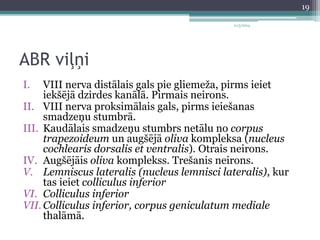 ABR viļņi 
I. VIII nerva distālais gals pie gliemeža, pirms ieiet 
iekšējā dzirdes kanālā. Pirmais neirons. 
II. VIII nerva proksimālais gals, pirms ieiešanas 
smadzeņu stumbrā. 
III. Kaudālais smadzeņu stumbrs netālu no corpus 
trapezoideum un augšējā oliva kompleksa (nucleus 
cochlearis dorsalis et ventralis). Otrais neirons. 
IV. Augšējāis oliva komplekss. Trešanis neirons. 
V. Lemniscus lateralis (nucleus lemnisci lateralis), kur 
tas ieiet colliculus inferior 
VI. Colliculus inferior 
VII. Colliculus inferior, corpus geniculatum mediale 
thalāmā. 
11/3/2014 
19 
 