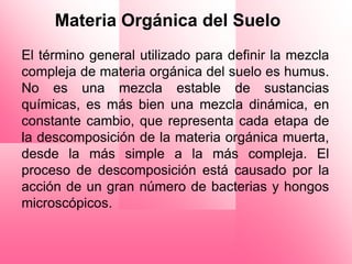Materia Orgánica del Suelo
El término general utilizado para definir la mezcla
compleja de materia orgánica del suelo es humus.
No es una mezcla estable de sustancias
químicas, es más bien una mezcla dinámica, en
constante cambio, que representa cada etapa de
la descomposición de la materia orgánica muerta,
desde la más simple a la más compleja. El
proceso de descomposición está causado por la
acción de un gran número de bacterias y hongos
microscópicos.
 