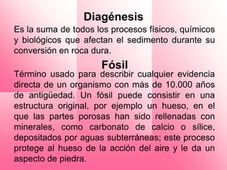 Diagénesis
Es la suma de todos los procesos físicos, químicos
y biológicos que afectan el sedimento durante su
conversión en roca dura.
                     Fósil
Término usado para describir cualquier evidencia
directa de un organismo con más de 10.000 años
de antigüedad. Un fósil puede consistir en una
estructura original, por ejemplo un hueso, en el
que las partes porosas han sido rellenadas con
minerales, como carbonato de calcio o sílice,
depositados por aguas subterráneas; este proceso
protege al hueso de la acción del aire y le da un
aspecto de piedra.
 
