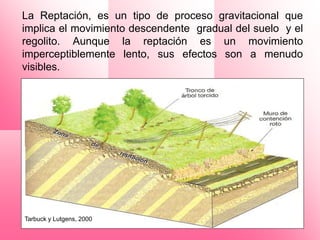 La Reptación, es un tipo de proceso gravitacional que
implica el movimiento descendente gradual del suelo y el
regolito. Aunque la reptación es un movimiento
imperceptiblemente lento, sus efectos son a menudo
visibles.




Tarbuck y Lutgens, 2000
 