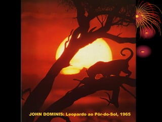JOHN DOMINIS: Leopardo ao Pôr-do-Sol, 1965
 
