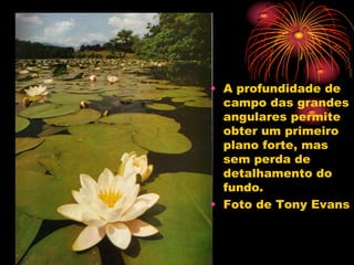 • A profundidade de
  campo das grandes
  angulares permite
  obter um primeiro
  plano forte, mas
  sem perda de
  detalhamento do
  fundo.
• Foto de Tony Evans
 