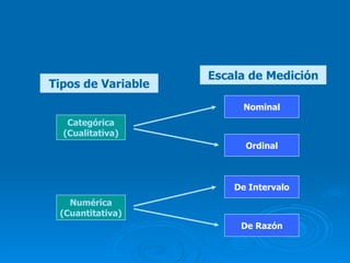 Tipos de Variable Escala de Medición Numérica (Cuantitativa) Categórica (Cualitativa) Nominal Ordinal De Intervalo De Razón 