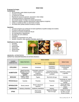 ©Lic. Jac Mix, M.Sc. ® 3
REINO FUNGI
Se agrupan los hongos.
Características:
 Son eucariontes y están dotados de pared celular
 Carentes de clorofila
 La mayoría son inmóviles
 Reproducción asexual por gemación, esporulación o fisión múltiple
 Unicelulares (levadura) y multicelulares (mohos)
 Son inmóviles (poseen movilidad en las células reproductivas)
 Heterótrofos, parásitos y saprófitos (descomponen materia orgánica e inorgánica)
 Unidas a un sustrato por hifas ( su unión forman el micelio)
 Sus células tienen paredes celulares formadas por celulosa.
Importancia
 La función principal es que contribuyen de manera significativa al equilibrio ecológico de la biosfera.
 El hombre lo utiliza para las levaduras.
 Interviene en el proceso de elaboración del pan
 Son desintegradores, (degradadores)
 Se pueden usar como antibióticos
 Comestibles
 Participan en la fermentación (vino, leche)
 Ejemplos: champiñón, setas, penicillium, Morchella, oreja de palo.
Clasificación (La más común)
 Eumicetes
 Ficomicetes
 Basidiomicetes
 Ascomicetes
 Deuteromicetes
 Mixomycetes
ABSORCIÓN = HETEROTROFOS
SAPRÓFITOS= DESCOMPONEDORES DE MATERIA ORGÁNICA
CUADRO
COMPARATIVO
REINO PROTISTA
REINO MONERA
REINO FUNGI
BACTERIAS
ALGAS AZUL
VERDOSAS
COPLEJIDAD Unicelulares Unicelulares
Unicelulares y
multicelulares
Unicelulares (levadura)
y multicelulares
(mohos)
ALIMENTACIÓN
(Algas)Fotosíntesis
otros por Absorción
(Protozoarios)
ingestión
Fotosíntesis o absorción
(materia orgánica e
inorgánica)
descomponedores
Fotosíntesis ficocianina
(pigmento azul) saprofitos
y parásitos
Heterótrofos, parásitos
y saprófitos
MOVILIDAD
Flagelos, ciliados,
inmóviles (algas)
Flagelos Movimiento del agua Inmóviles
TIPO DE CELULA Eucariota Procariota Procariotas
Eucariontes con pared
celular (Carentes de
clorofila)
REPRODUCCIÓN Sexual y asexual
Sexual o asexual por
bipartición
Asexual
Asexual (gemación,
esporulación o fisión
múltiple)
RESPIRACIÓN Aeróbica y Anaeróbica Aeróbicas y anaeróbicas Aeróbica Aeróbicas
OTRAS
Pared celular
Fermentación
fijadores de nitrógeno
Viven en el agua
Unidas a un sustrato
por hifas ( su unión
forman el micelio)
 