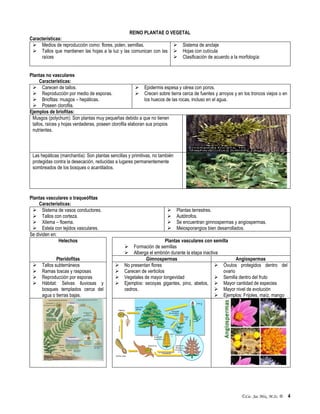 ©Lic. Jac Mix, M.Sc. ® 4
REINO PLANTAE O VEGETAL
Características:
 Medios de reproducción como: flores, polen, semillas.
 Tallos que mantienen las hojas a la luz y las comunican con las
raíces
 Sistema de anclaje
 Hojas con cutícula
 Clasificación de acuerdo a la morfología:
Plantas no vasculares
Características:
 Carecen de tallos.
 Reproducción por medio de esporas.
 Briofitas: musgos – hepáticas.
 Poseen clorofila.
 Epidermis espesa y cérea con poros.
 Crecen sobre tierra cerca de fuentes y arroyos y en los troncos viejos o en
los huecos de las rocas, incluso en el agua.
Ejemplos de briofitas:
Musgos (polychum): Son plantas muy pequeñas debido a que no tienen
tallos, raíces y hojas verdaderas, poseen clorofila elaboran sus propios
nutrientes.
Las hepáticas (marchantía): Son plantas sencillas y primitivas, no también
protegidas contra la desecación, reducidas a lugares permanentemente
sombreados de los bosques o acantilados.
Plantas vasculares o traqueófitas
Características:
 Sistema de vasos conductores.
 Tallos con corteza.
 Xilema – floema.
 Estela con tejidos vasculares.
 Plantas terrestres.
 Autótrofos.
 Se encuentran gimnospermas y angiospermas.
 Meiosporangios bien desarrollados.
Se dividen en:
Helechos Plantas vasculares con semilla
 Formación de semillas
 Alberga el embrión durante la etapa inactiva
Pteridofitas Gimnospermas Angiospermas
 Tallos subterráneos
 Ramas toscas y rasposas
 Reproducción por esporas
 Hábitat: Selvas lluviosas y
bosques templados cerca del
agua o tierras bajas.
 No presentan flores
 Carecen de verticilos
 Vegetales de mayor longevidad
 Ejemplos: secoyas gigantes, pino, abetos,
cedros.
 Óvulos protegidos dentro del
ovario
 Semilla dentro del fruto
 Mayor cantidad de especies
 Mayor nivel de evolución
 Ejemplos: Frijoles, maíz, mango
 