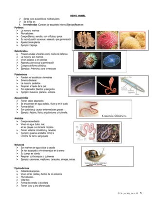 ©Lic. Jac Mix, M.Sc. ® 5
REINO ANIMAL
 Seres vivos eucarióticos multicelulares
 Se divide en:
1. Invertebrados (Carecen de esqueleto interno) Se clasifican en:
Poríferos
 La mayoría marinos
 Pluricelulares
 Cuerpo blanco, sencillo, con orificios y poros
 Su reproducción es sexual, asexual y por germinación
 Apariencia de planta
 Ejemplo: Esponja.
Celenterados
 Poseen células urticantes como medio de defensa
 La mayoría son marinos
 Viven aislados o en colonias
 Reproducción sexual y germinación
 Cuerpos de forma cilíndrica
 Ejemplos: Anémona, coral y medusas
Platelmintos
 Pueden ser acuáticos o terrestres
 Simetría bilateral
 La mayoría parásitos
 Respiran a través de la piel
 Son aplanados, blandos y alargados
 Ejemplo: Gusanos, planaria, solitaria.
Asquelmintos
 Tienen sexos separados
 Se encuentran en agua salada, dulce y en el suelo
 Forma de hilo
 Son parásitos y causan enfermedades graves
 Ejemplo: Áscaris, filaria, anquilostoma y trichinella.
Anélidos
 Cuerpo redondeado
 Viven en agua dulce, mar,
en las playas o en la tierra húmeda
 Tienen sistema circulatorio y nervioso
 Ejemplo: gusanos anillados como la
Lombriz de tierra, sanguijuela
Moluscos
 Son marinos de agua dulce o salada
 Se han adaptado a vivir enterrados en la arena
 Su cuerpo es blando
 Respiran por branquias o pulmones
 Ejemplo: calamares, mejillones, caracoles, almejas, ostras.
Equinodermos
 Cubierto de espinas
 Viven en las cestas y fondos de los océanos
 Pluricelulares
 Vida libre
 Forma de estrella o de esfera
 Tienen boca y ano diferenciado
Gusanos cilíndricos
 