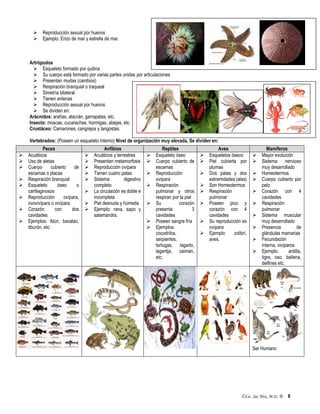 ©Lic. Jac Mix, M.Sc. ® 6
 Reproducción sexual por huevos
 Ejemplo: Erizo de mar y estrella de mar.
Artrópodos
 Esqueleto formado por quitina
 Su cuerpo está formado por varias partes unidas por articulaciones
 Presentan mudas (cambios)
 Respiración branquial o traqueal
 Simetría bilateral
 Tienen antenas
 Reproducción sexual por huevos
 Se dividen en:
Arácnidos: arañas, alacrán, garrapatas, etc.
Insecto: moscas, cucarachas, hormigas, abejas, etc.
Crustáceo: Camarones, cangrejos y langostas.
Vertebrados: (Poseen un esqueleto interno) Nivel de organización muy elevada, Se dividen en:
Peces Anfibios Reptiles Aves Mamíferos
 Acuáticos
 Uso de aletas
 Cuerpo cubierto de
escamas o placas
 Respiración branquial
 Esqueleto óseo o
cartilaginosos
 Reproducción ovípara,
ovovivípara o vivípara
 Corazón con dos
cavidades
 Ejemplos: Atún, bacalao,
tiburón, etc.
 Acuáticos y terrestres
 Presentan metamorfosis
 Reproducción ovípara
 Tienen cuatro patas
 Sistema digestivo
completo
 La circulación es doble e
incompleta
 Piel desnuda y húmeda
 Ejemplo: rana, sapo y
salamandra.
 Esqueleto óseo
 Cuerpo cubierto de
escamas
 Reproducción
ovípara
 Respiración
pulmonar y otros
respiran por la piel
 Su corazón
presenta 3
cavidades
 Poseen sangre fría
 Ejemplos:
cocodrilos,
serpientes,
tortugas, lagarto,
lagartija, caimán,
etc.
 Esqueletos óseos
 Piel cubierta por
plumas
 Dos patas y dos
extremidades (alas)
 Son Homeotermos
 Respiración
pulmonar
 Poseen pico y
corazón con 4
cavidades
 Su reproducción es
ovípara
 Ejemplo: colibrí,
aves.
 Mayor evolución
 Sistema nervioso
muy desarrollado
 Homeotermos
 Cuerpo cubierto por
pelo
 Corazón con 4
cavidades
 Respiración
pulmonar
 Sistema muscular
muy desarrollado
 Presencia de
glándulas mamarias
 Fecundación
interna, vivíparos
 Ejemplo: ardilla,
tigre, oso, ballena,
delfines etc.
Ser Humano
 