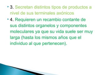  3.

Secretan distintos tipos de productos a
nivel de sus terminales axónicos
 4. Requieren un recambio contante de
sus distintos organelos y componentes
moleculares ya que su vida suele ser muy
larga (hasta los mismos años que el
individuo al que pertenecen).

 