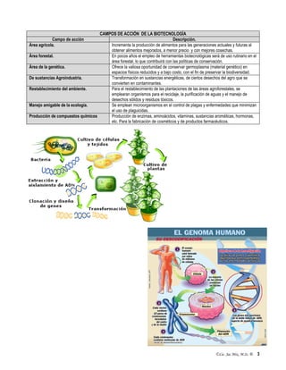 ©Lic. Jac Mix, M.Sc. ® 3
CAMPOS DE ACCIÓN DE LA BIOTECNOLOGÍA
Campo de acción Descripción.
Área agrícola. Incrementa la producción de alimentos para las generaciones actuales y futuras al
obtener alimentos mejorados, a menor precio y con mejores cosechas.
Área forestal. En pocos años el empleo de herramientas biotecnológicas será de uso rutinario en el
área forestal, lo que contribuirá con las políticas de conservación.
Área de la genética. Ofrece la valiosa oportunidad de conservar germoplasma (material genético) en
espacios físicos reducidos y a bajo costo, con el fin de preservar la biodiversidad.
De sustancias Agroindustria. Transformación en sustancias energéticas, de ciertos desechos del agro que se
convierten en contaminantes.
Restablecimiento del ambiente. Para el restablecimiento de las plantaciones de las áreas agroforestales, se
emplearan organismos para el reciclaje, la purificación de aguas y el manejo de
desechos sólidos y residuos tóxicos.
Manejo amigable de la ecología. Se emplean microorganismos en el control de plagas y enfermedades que minimizan
el uso de plaguicidas.
Producción de compuestos químicos Producción de enzimas, aminoácidos, vitaminas, sustancias aromáticas, hormonas,
etc. Para la fabricación de cosméticos y de productos farmacéuticos.
 
