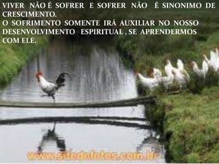 VIVER NÃO É SOFRER E SOFRER NÃO É SINONIMO DE
CRESCIMENTO.
O SOFRIMENTO SOMENTE IRÁ AUXILIAR NO NOSSO
DESENVOLVIMENTO ESPIRITUAL , SE APRENDERMOS
COM ELE.
 