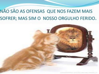 NÃO SÃO AS OFENSAS QUE NOS FAZEM MAIS
SOFRER; MAS SIM O NOSSO ORGULHO FERIDO.
 
