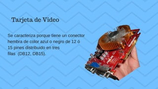Se caracteriza porque tiene un conector
hembra de color azul o negro de 12 ó
15 pines distribuido en tres
filas (DB12, DB15).
Tarjeta de Video
 