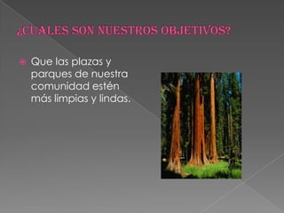    Que las plazas y
    parques de nuestra
    comunidad estén
    más limpias y lindas.
 