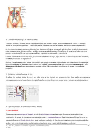  Compreender a fisiologia do sistema excretor.
O sistema excretor é formado por um conjunto de órgãos que filtram o sangue, produzem e excretam a urina - o principal
líquido de excreção do organismo. É constituído por um par de rins, um par de ureteres, pela bexiga urinária e pela uretra.
Os rins situam-se na parte dorsal do abdomen, logo abaixo do diafragma, um de cada lado da coluna vertebral, nessa posição
estão protegidos pelas últimas costelas e também por uma camada de gordura. Têm a forma de um grão de feijão enorme e
possuem uma cápsula fibrosa, que protege o córtex - mais externo, e a medula - mais interna.
Cada rim é formado de tecido conjuntivo, que sustenta e dá forma ao órgão, e por milhares ou milhões de unidades filtradoras,
os néfrons, localizados na região renal.
O néfron é uma longa estrutura tubular microscópica que possui, em uma das extremidades, uma expansão em forma de taça,
denominada cápsula de Bowman, que se conecta com o túbulo contorcido proximal, que continua pela alça de Henle e pelo
túbulo contorcido distal; este desemboca em um tubo coletor. São responsáveis pela filtração do sangue e remoção das
excreções.
 Conhecer a unidade funcional do rim.
O néfron é a unidade básica do rim. É um tubo longo e fino fechado em uma ponta, tem duas regiões entrelaçadas e
interespaçadas com uma longa alça em forma de forquilha, terminando em uma porção longa e reta, e é cercado de capilares.
 Explicar o processo de formação da urina (4 etapas).
1ª Fase – Filtração
O sangue entra no glomérulo de Malpighi através da arteríola aferente a alta pressão. A maior parte das substâncias
constituintes do sangue atravessa a parede dos capilares para a cápsula de Bowman. A partir do sangue filtrado forma-se na
cápsula de Bowman o filtrado glomerular,– água, produtos resultantes da digestão, como a glicose, os aminoácidos, os ácidos
gordos e sais minerais, e produtos resultantes do metabolismo, como a ureia, o ácido gordo e a creatinina.
5ª Lista de Objetivos – Sistema Digestivo e Sistema Excretor
9.ºano
6/1
 
