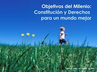 Objetivos del Milenio: Constitución y Derechos  para un mundo mejor Jheison Torres – noviembre  de 2007 