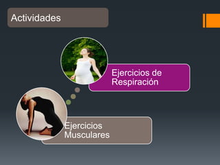 Actividades

Ejercicios de
Respiración

Ejercicios
Musculares

 