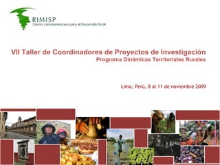 VII Taller de Coordinadores de Proyectos de Investigación Programa Dinámicas Territoriales Rurales Lima, Perú, 8 al 11 de noviembre 2009 