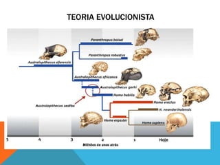 TEORIA EVOLUCIONISTA
 