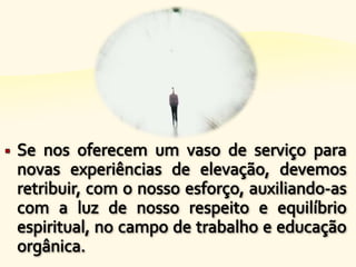 Objetivos da reencarnação - n.22