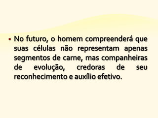 Objetivos da reencarnação - n.22