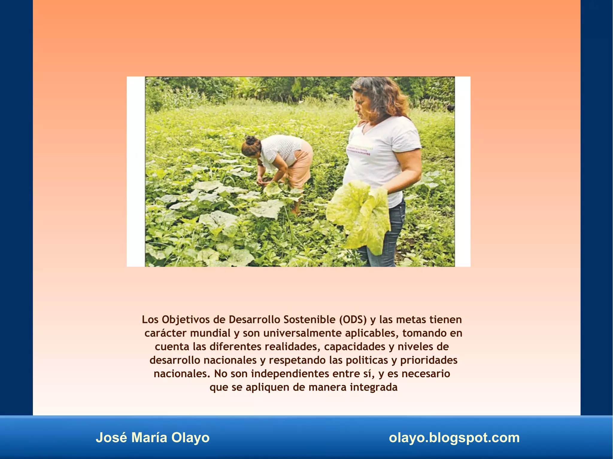 José María Olayo olayo.blogspot.com
Los Objetivos de Desarrollo Sostenible (ODS) y las metas tienen
carácter mundial y son universalmente aplicables, tomando en
cuenta las diferentes realidades, capacidades y niveles de
desarrollo nacionales y respetando las politicas y prioridades
nacionales. No son independientes entre sí, y es necesario
que se apliquen de manera integrada
 