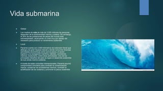 Vida submarina
 Global:
 Los medios de vida de más de 3.000 millones de personas
dependen de la biodiversidad marina y costera. Sin embargo,
el 30% de las poblaciones de peces del mundo está
sobreexplotado, alcanzando un nivel muy por debajo del
necesario para producir un rendimiento sostenible.
 Local:
 Panamá cuenta con 2.900 kilómetros de extensión litoral que
alberga una gran riqueza natural y donde concurren diversas
actividades económicas como son la pesca, el sector
logístico y la navegación marítima, hábitats, corredores
marinos, ecoturismo, entre otras actividades. Uno de los
principales desafíos del país es lograr el desarrollo sostenible
de sus zonas marino-costeras.
 A través de estas consultas intersectoriales, Panamá asumió
compromisos concretos para combatir la contaminación
marina, conservar los ecosistemas marinos, combatir la
acidificación de los océanos y promover la pesca sostenible.
 