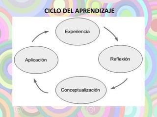 CICLO DEL APRENDIZAJE 
 