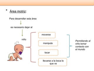 * Área motriz: 
Para desarrollar esta área 
es necesario dejar al 
niño 
moverse 
manipula 
tocar 
llevarse a la boca lo 
que ve 
Permitiendo al 
niño tomar 
contacto con 
el mundo 
 
