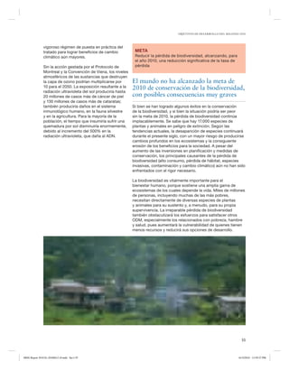 OBJETIVOS DE DESARROLLO DEL MILENIO 2010

vigoroso régimen de puesta en práctica del
tratado para lograr beneficios de cambio
climático aún mayores.
Sin la acción gestada por el Protocolo de
Montreal y la Convención de Viena, los niveles
atmosféricos de las sustancias que destruyen
la capa de ozono podrían multiplicarse por
10 para el 2050. La exposición resultante a la
radiación ultravioleta del sol produciría hasta
20 millones de casos más de cáncer de piel
y 130 millones de casos más de cataratas;
también produciría daños en el sistema
inmunológico humano, en la fauna silvestre
y en la agricultura. Para la mayoría de la
población, el tiempo que insumiría sufrir una
quemadura por sol disminuiría enormemente,
debido al incremento del 500% en la
radiación ultravioleta, que daña al ADN.

META
Reducir la pérdida de biodiversidad, alcanzando, para
el año 2010, una reducción significativa de la tasa de
pérdida

El mundo no ha alcanzado la meta de
2010 de conservación de la biodiversidad,
con posibles consecuencias muy graves
Si bien se han logrado algunos éxitos en la conservación
de la biodiversidad, y si bien la situación podría ser peor
sin la meta de 2010, la pérdida de biodiversidad continúa
implacablemente. Se sabe que hay 17.000 especies de
plantas y animales en peligro de extinción. Según las
tendencias actuales, la desaparición de especies continuará
durante el presente siglo, con un mayor riesgo de producirse
cambios profundos en los ecosistemas y la consiguiente
erosión de los beneficios para la sociedad. A pesar del
aumento de las inversiones en planificación y medidas de
conservación, los principales causantes de la pérdida de
biodiversidad (alto consumo, pérdida de hábitat, especies
invasivas, contaminación y cambio climático) aún no han sido
enfrentados con el rigor necesario.
La biodiversidad es vitalmente importante para el
bienestar humano, porque sostiene una amplia gama de
ecosistemas de los cuales depende la vida. Miles de millones
de personas, incluyendo muchas de las más pobres,
necesitan directamente de diversas especies de plantas
y animales para su sustento y, a menudo, para su propia
supervivencia. La irreparable pérdida de biodiversidad
también obstaculizará los esfuerzos para satisfacer otros
ODM, especialmente los relacionados con pobreza, hambre
y salud, pues aumentará la vulnerabilidad de quienes tienen
menos recursos y reducirá sus opciones de desarrollo.

55

MDG Report 2010 Es 20100612 r9.indd Sec1:55

6/15/2010 12:59:27 PM

 