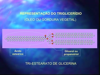 REPRESENTAÇÃO DO TRIGLICERÍDIO 
(ÓLEO OU GORDURA VEGETAL) 
H 
H 
C 
C 
H 
H 
C 
O 
O 
H 
H 
H 
H 
C C 
H 
C 
H 
C 
H 
H 
C 
H 
H 
C 
H 
H 
C 
H 
H 
C 
H 
H 
C 
H 
H 
C 
H 
H 
C 
H 
H 
C 
H 
H 
C 
H 
H 
C 
H 
H 
C 
H 
H 
C 
H 
H 
C 
H 
H 
C 
H 
H 
C 
O 
O 
H 
C 
H 
H 
C 
H 
H 
C 
H 
H 
C 
H 
H 
C 
H 
H 
C 
H 
H 
C 
H 
H 
C 
H 
H 
C 
H 
H 
C 
H 
H 
C 
H 
H 
C 
H 
H 
C 
H 
H 
C 
H 
H 
C 
H 
H 
C 
H 
H 
C 
H 
H 
H 
H 
H 
H 
H 
H 
H 
H 
H 
H 
H 
H 
H 
H 
H 
C C 
H 
H 
C 
H 
H 
C 
H 
C 
H 
C 
H 
C 
H 
C 
H 
C 
H 
C 
H 
C 
H 
C 
H 
C 
H 
C 
H 
C 
H 
C 
H 
C 
H 
C 
H 
H 
O 
O 
Glicerol ou 
propanotriol 
TRI-ESTEARATO DE GLICERINA 
Ácido 
esteárico 
 