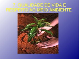 7. QUALIDADE DE VIDA E
RESPEITO AO MEIO AMBIENTE
 