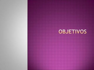 objetivos 