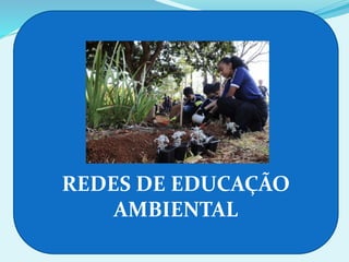 REDES DE EDUCAÇÃO
AMBIENTAL
 