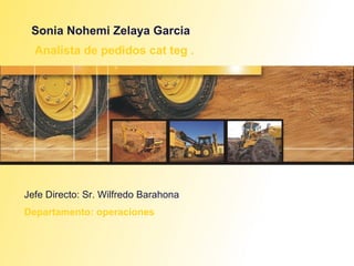 Sonia Nohemi Zelaya Garcia Analista de pedidos cat teg . Jefe Directo: Sr. Wilfredo Barahona Departamento: operaciones 
