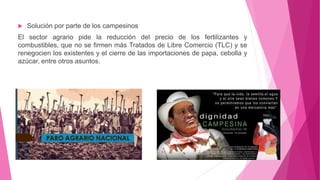  Solución por parte de los campesinos
El sector agrario pide la reducción del precio de los fertilizantes y
combustibles, que no se firmen más Tratados de Libre Comercio (TLC) y se
renegocien los existentes y el cierre de las importaciones de papa, cebolla y
azúcar, entre otros asuntos.
 