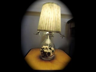 Objet mort desir 2014