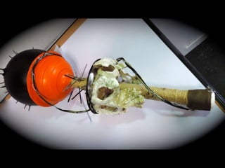 Objet mort desir 2014