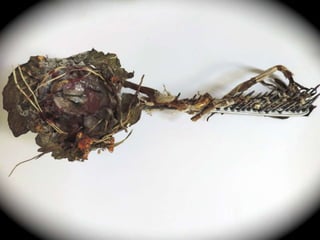 Objet mort desir 2014