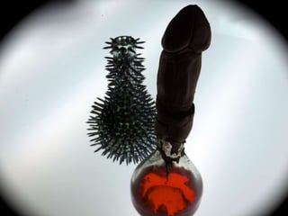 Objet mort desir 2014