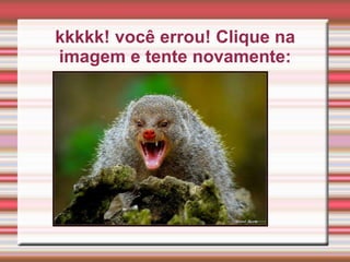 kkkkk! você errou! Clique na
imagem e tente novamente: