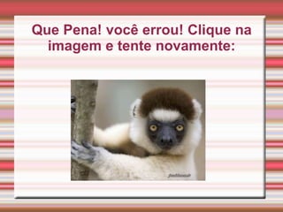 Que Pena! você errou! Clique na
imagem e tente novamente: