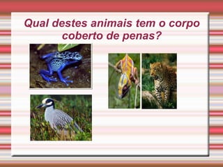 Qual destes animais tem o corpo
coberto de penas?
