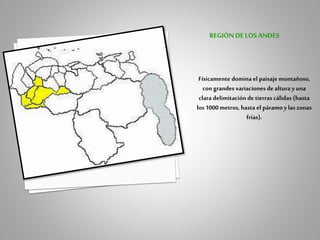 Físicamente domina el paisaje montañoso,
con grandes variaciones de altura y una
clara delimitación de tierras cálidas (hasta
los 1000metros, hasta el páramoy las zonas
frías).
REGIÓNDE LOSANDES
 