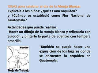 IDEAS para celebrar el día de la 
Explícale a los niños: ¿qué es una orquídea? 
y ¿Cuándo se estableció como Flor Nacional de 
Guatemala? 
Actividades que puede realizar: 
-Hacer un dibujo de la monja blanca y rellenarla con 
algodón y pintarle la parte de adentro con tempera 
amarilla. 
-También se puede hacer una 
exposición de los lugares donde 
se encuentra la orquidea en 
Guatemala. 
 