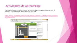 Actividades de aprendizaje
Practica las funciones de los órganos del sistema digestivo, para ello desarrolla el
siguiente crucigrama que se encuentra en este link
http://www.educaplay.com/es/recursoseducativos/1339590/sitema_digestiv
o_humano.htm
 