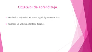 Objetivos de aprendizaje
 Identificar la importancia del sistema digestivo para el ser humano.
 Reconocer las funciones del sistema digestivo.
 